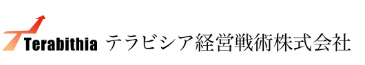 テラビシア経営戦術株式会社